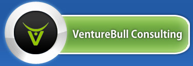 VentureBull Consulting